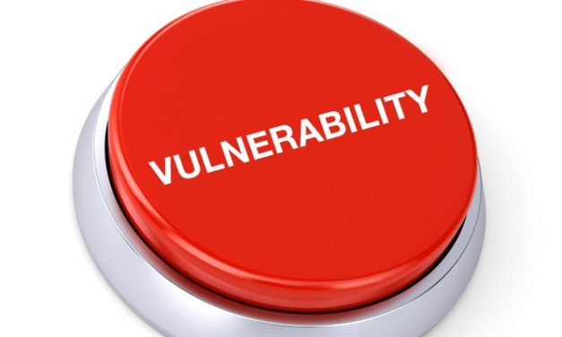 Il principio di vulnerabilità