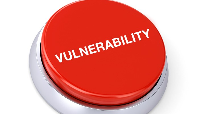 Il principio di vulnerabilità